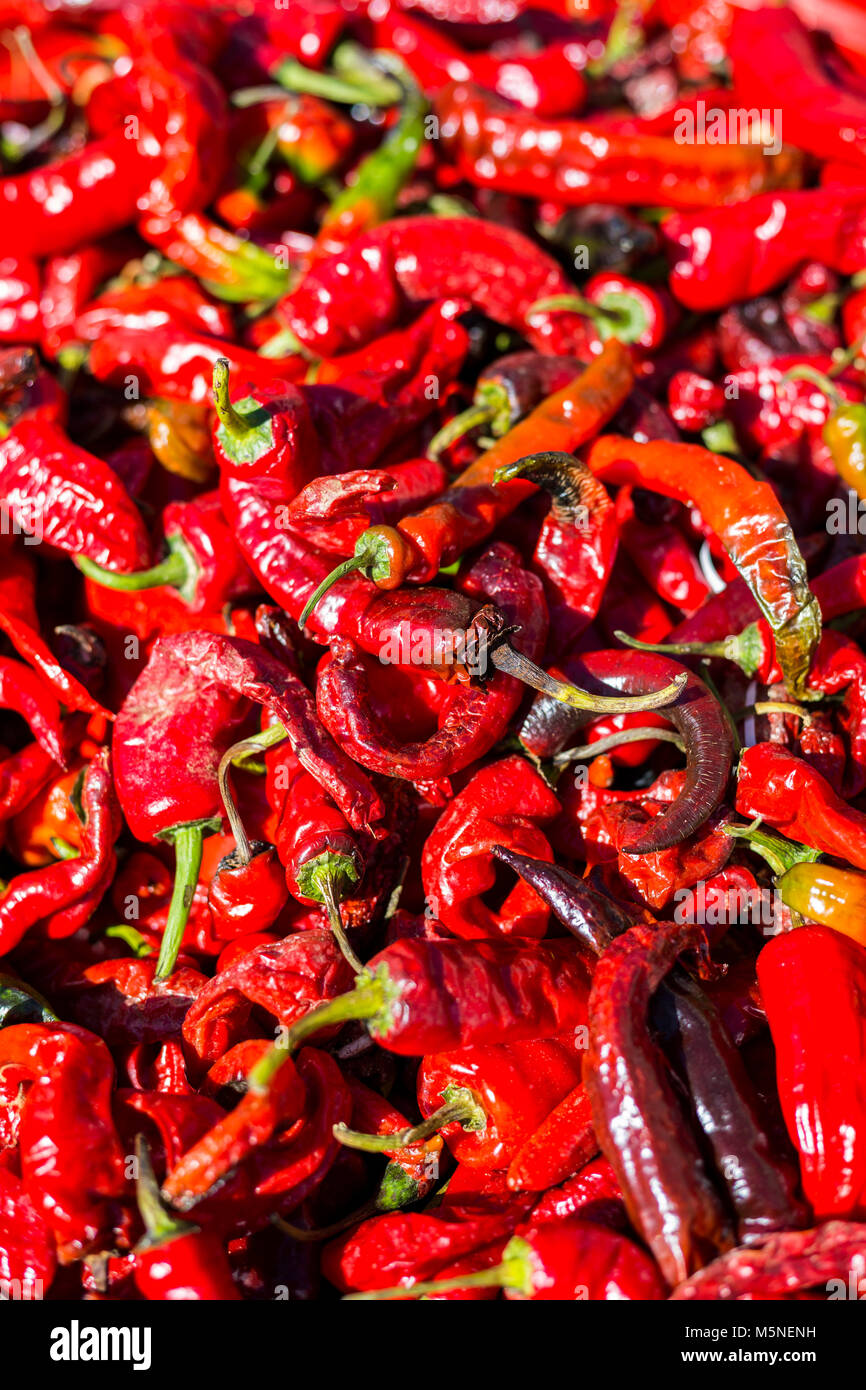 Thimpu, Bhutan. Red Chili Peppers. Stockfoto