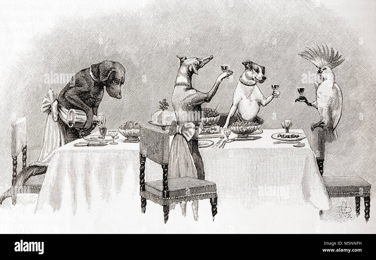 Drei Hunde und ein kakadu mit einer Dinner Party und toasten. Von The Strand Magazine, veröffentlicht Januar bis Juni 1894. Stockfoto