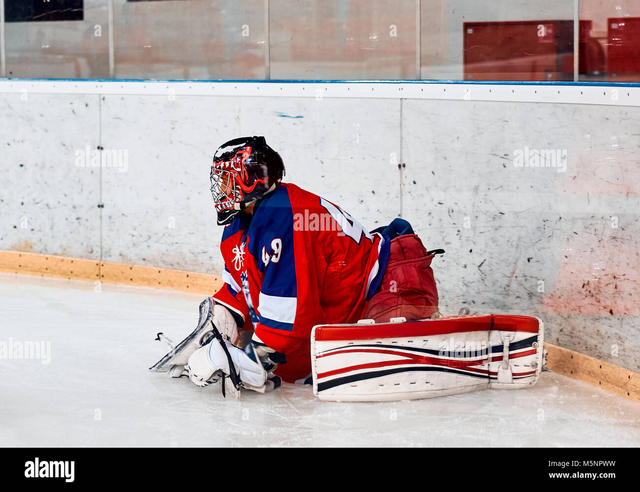 Hockey goalie in der Welt Stockfoto