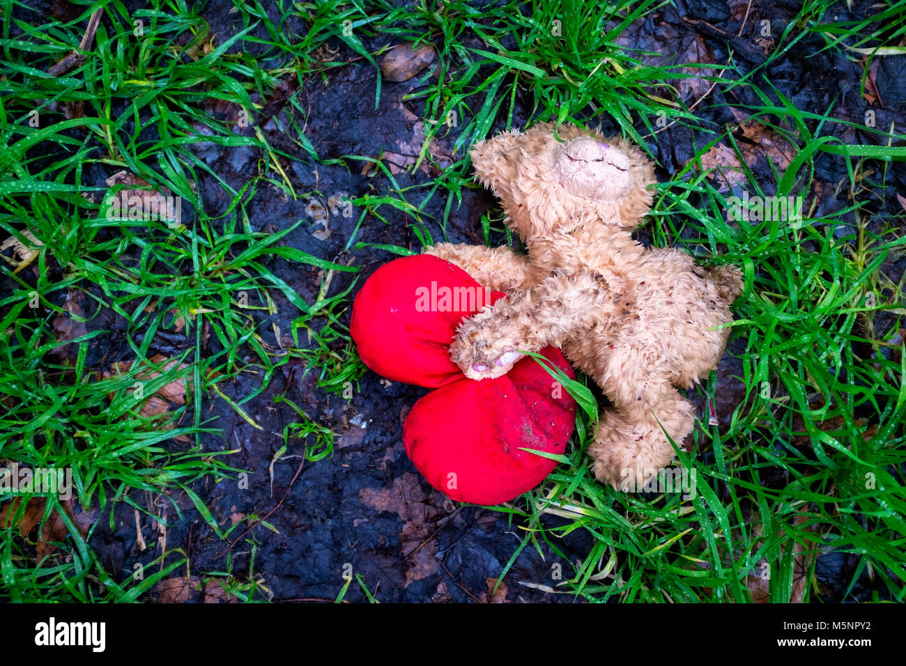 Die verworfen Valentinstag Teddybär auf dem Boden liegend Stockfoto