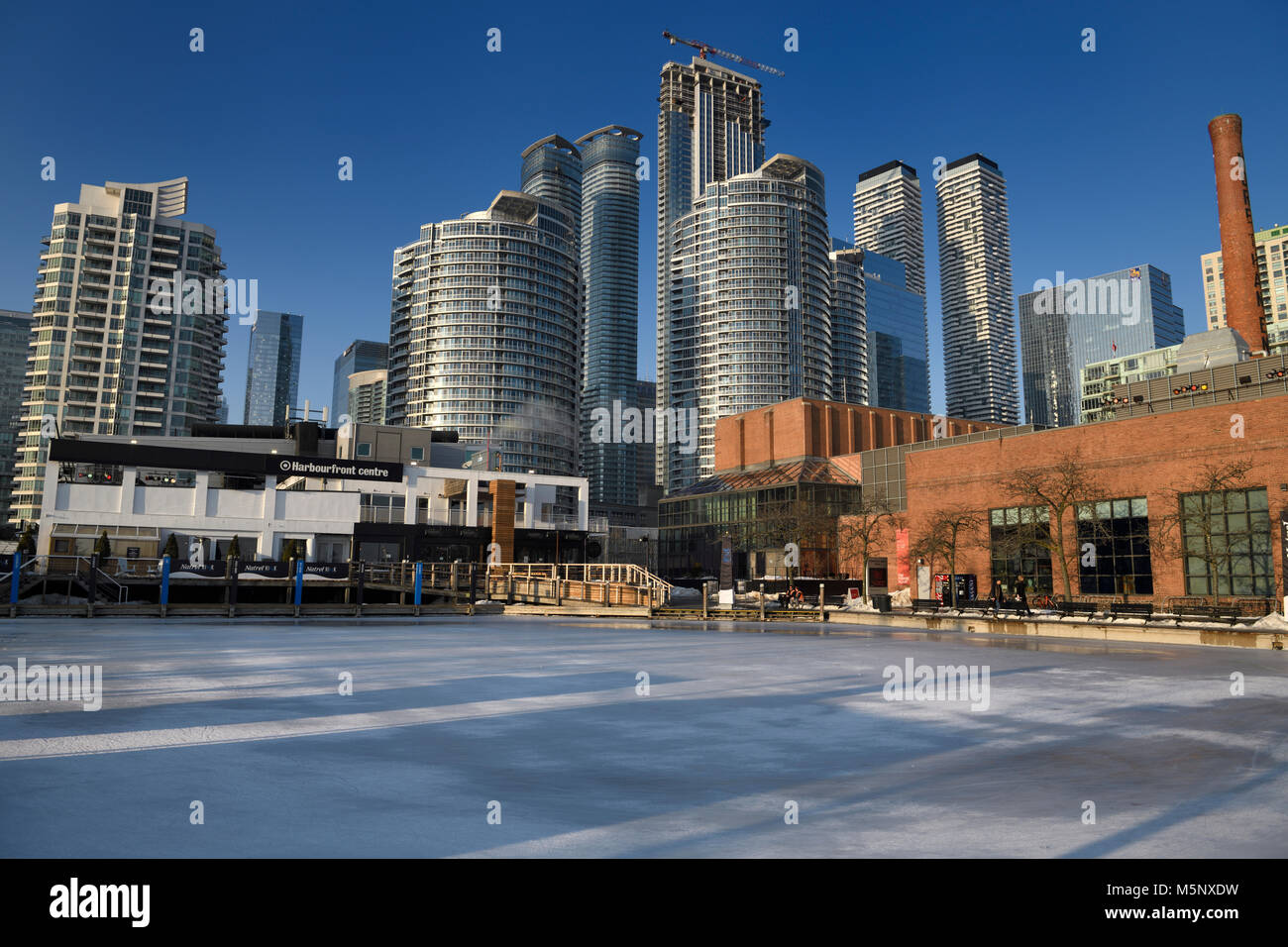 Leere Harbourfront Centre Natrel Teich Eislaufbahn mit Hochhaus Condominium Tower und Power Plant Contemporary Art Gallery Toronto im Winter Stockfoto