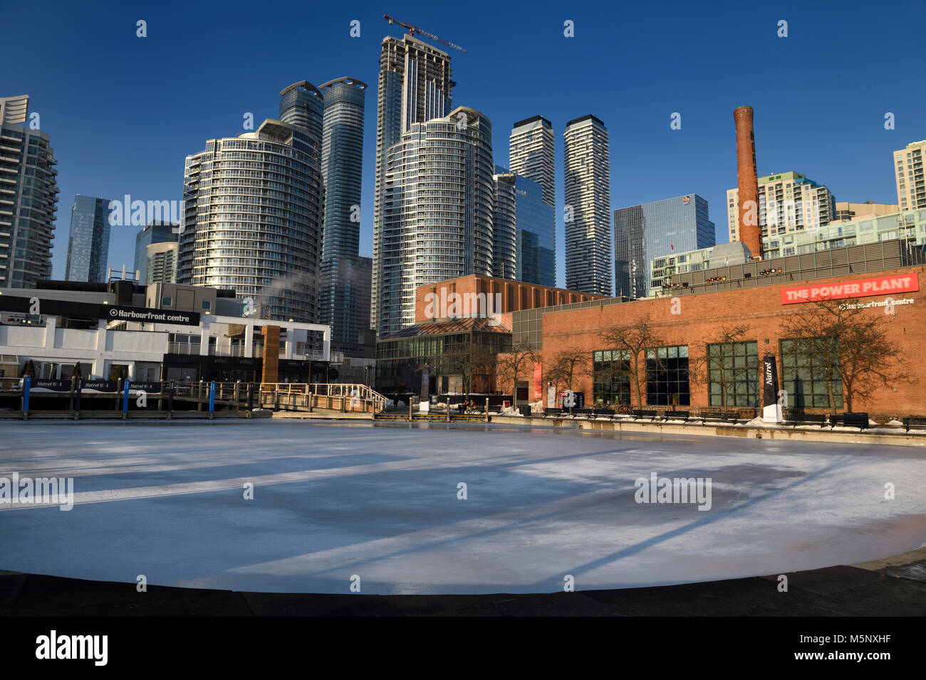 Leere Harbourfront Centre Natrel Teich Eislaufplatz mit Hochhaus Condominium Tower und Power Plant Contemporary Art Gallery Toronto im Winter Stockfoto
