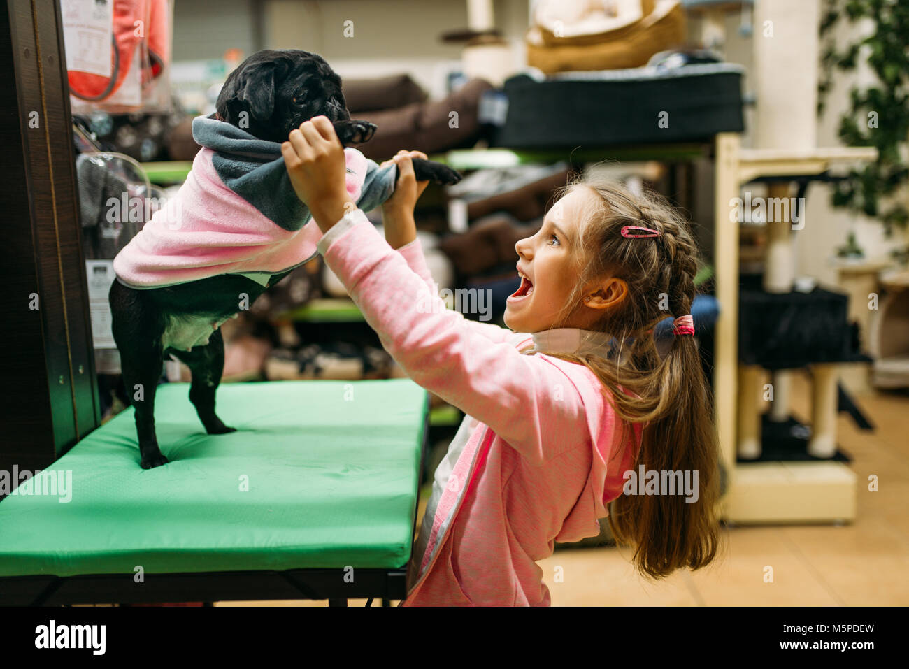 Kleines Mädchen Versuchen auf Kleidung für Welpen in Pet Shop. Kid Kunden kaufen Hunde insgesamt in petshop, für den inländischen Tiere Stockfoto