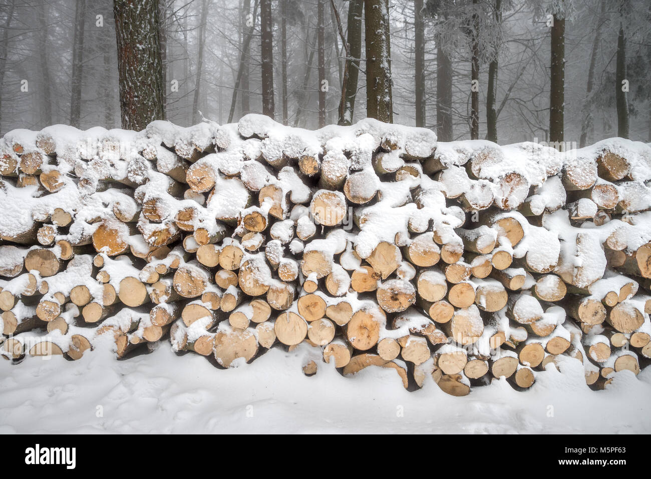 Holzstoß mit Schnee bedeckt Stockfoto