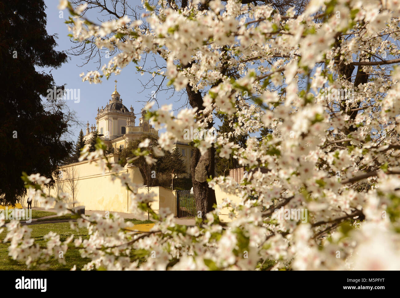 St.-Georgs Kathedrale in Lemberg, Ukraine Stockfoto