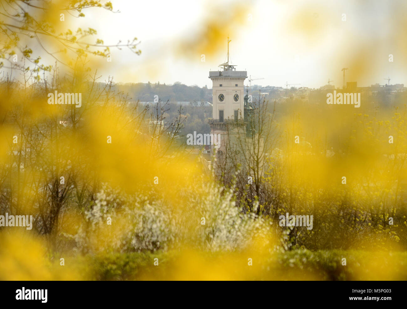 Lemberg Rathausturm. Frühling in Lemberg, Ukraine Stockfoto