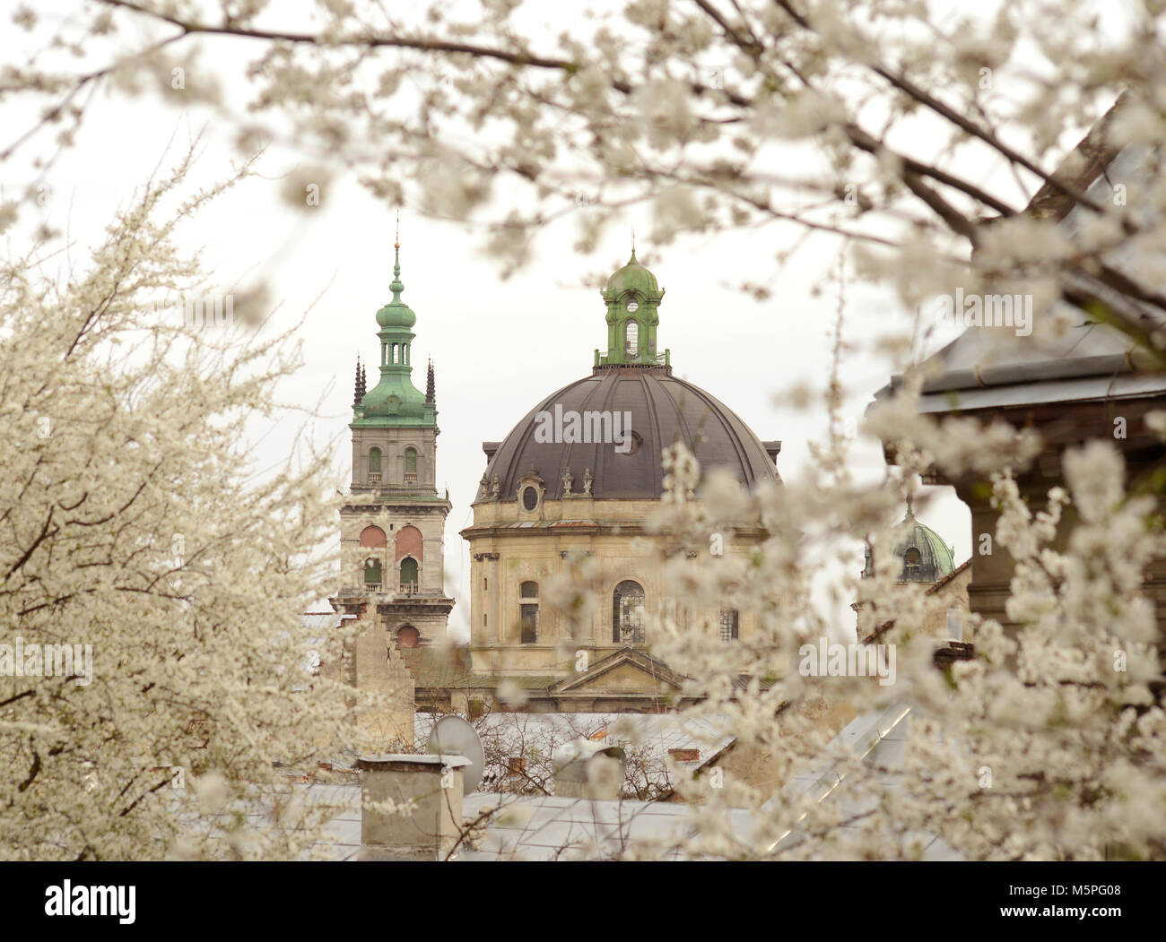 Korniakta Turm und Kirche der Heiligen Eucharistie (ehemaliges dominikanisches Kloster Kirche), Lemberg, Ukraine Stockfoto