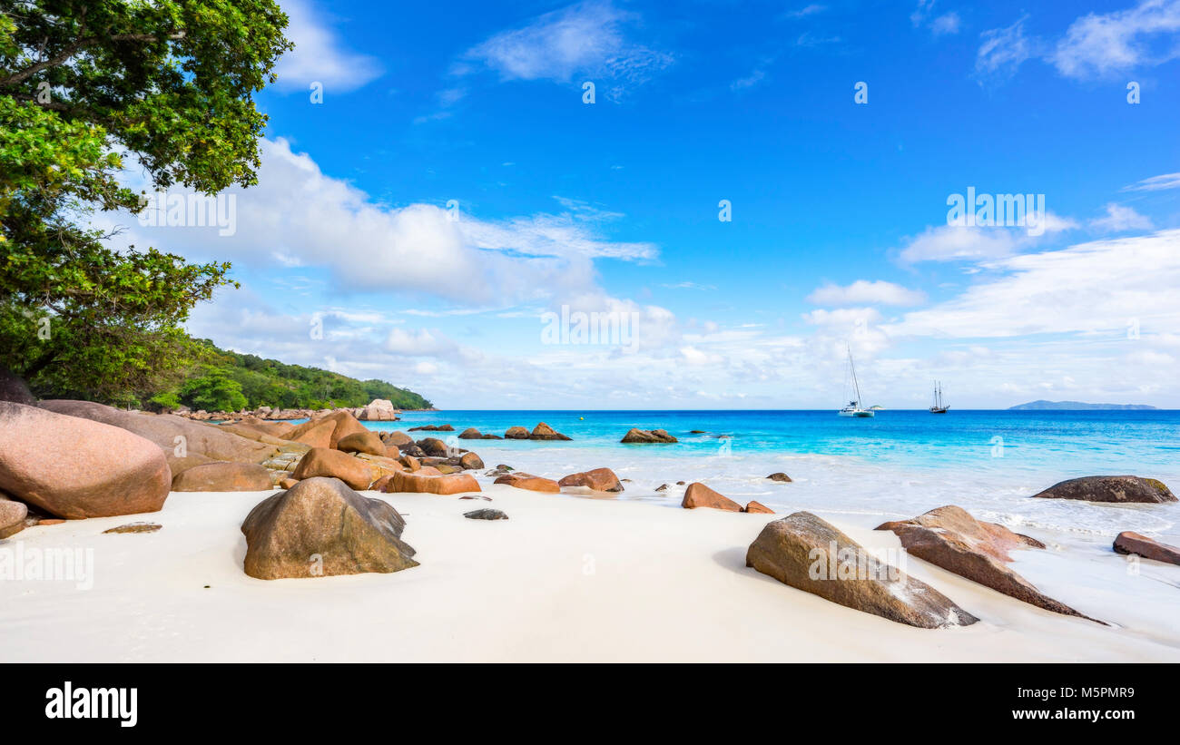 Unglaublich schönes Paradies Strand. weißer Sand, türkises Wasser, Palmen am tropischen Strand Anse Lazio, Praslin, Seychellen Stockfoto