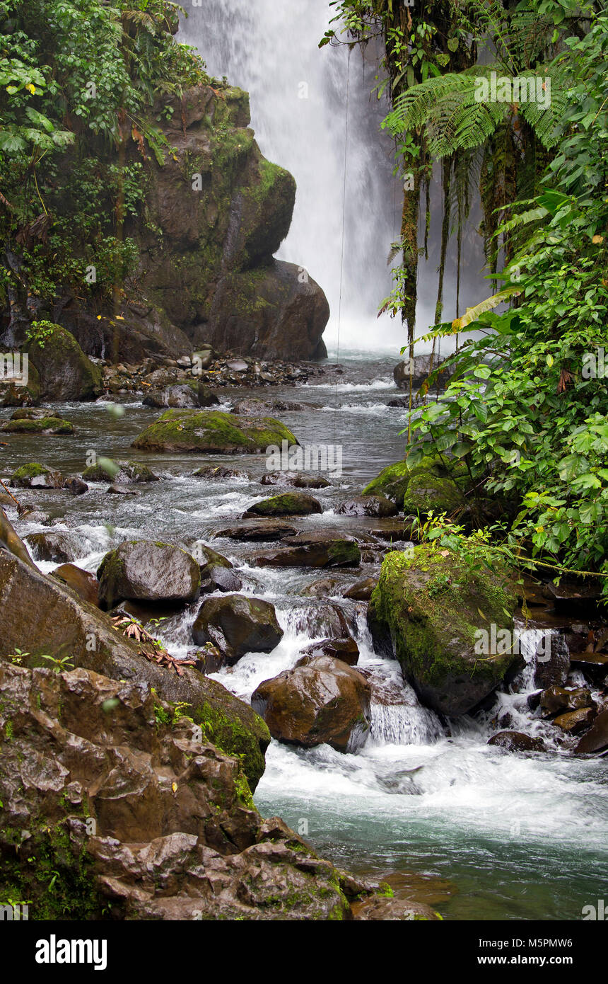 Wasserfall im Dschungel von Costa Rica genommen Stockfoto