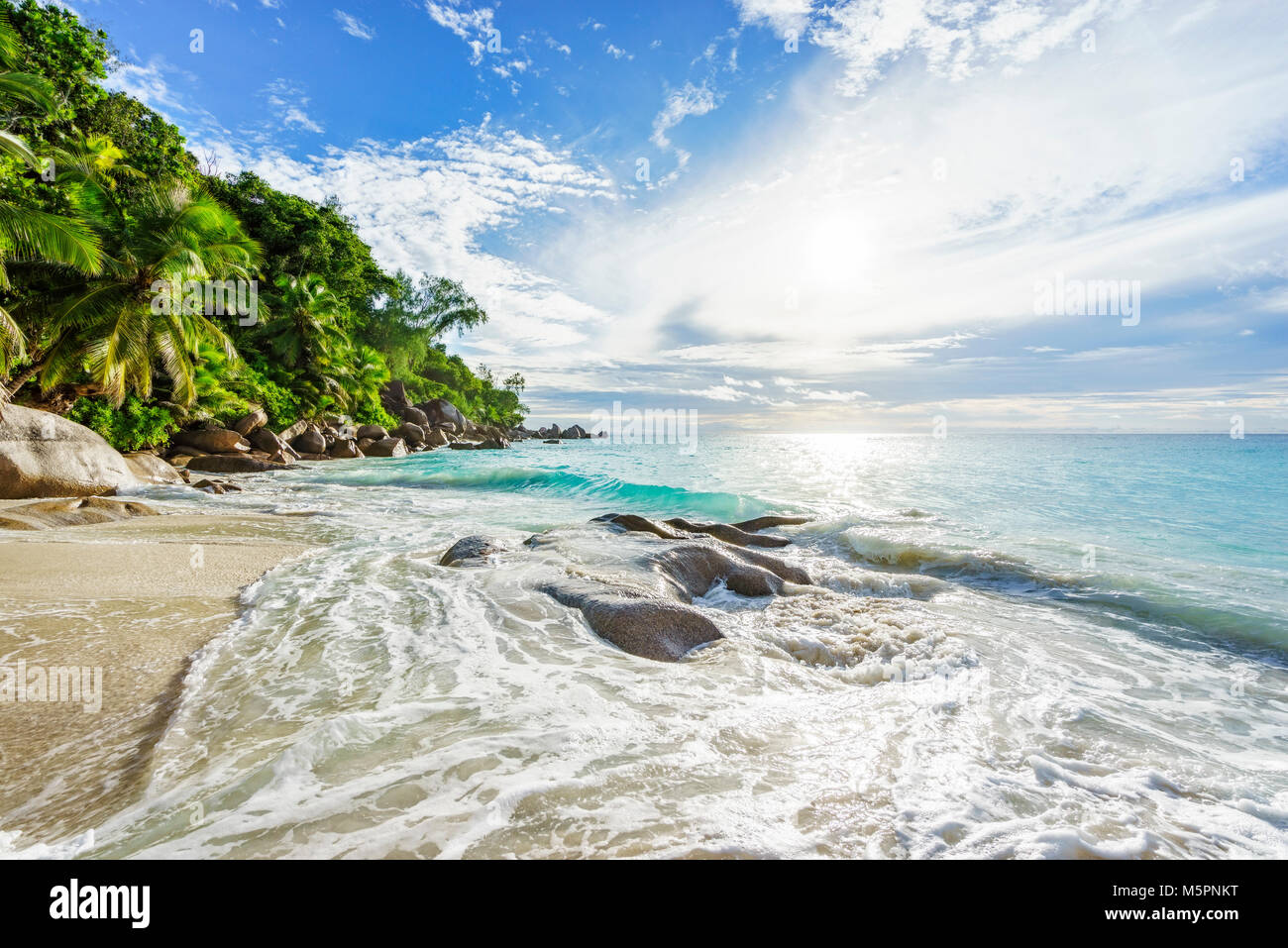 Unglaublich schönes Paradies tropischer Strand mit Granitfelsen, Palmen und türkisfarbenes Wasser in der Sonne an der Anse Georgette, Praslin, Seychellen Stockfoto