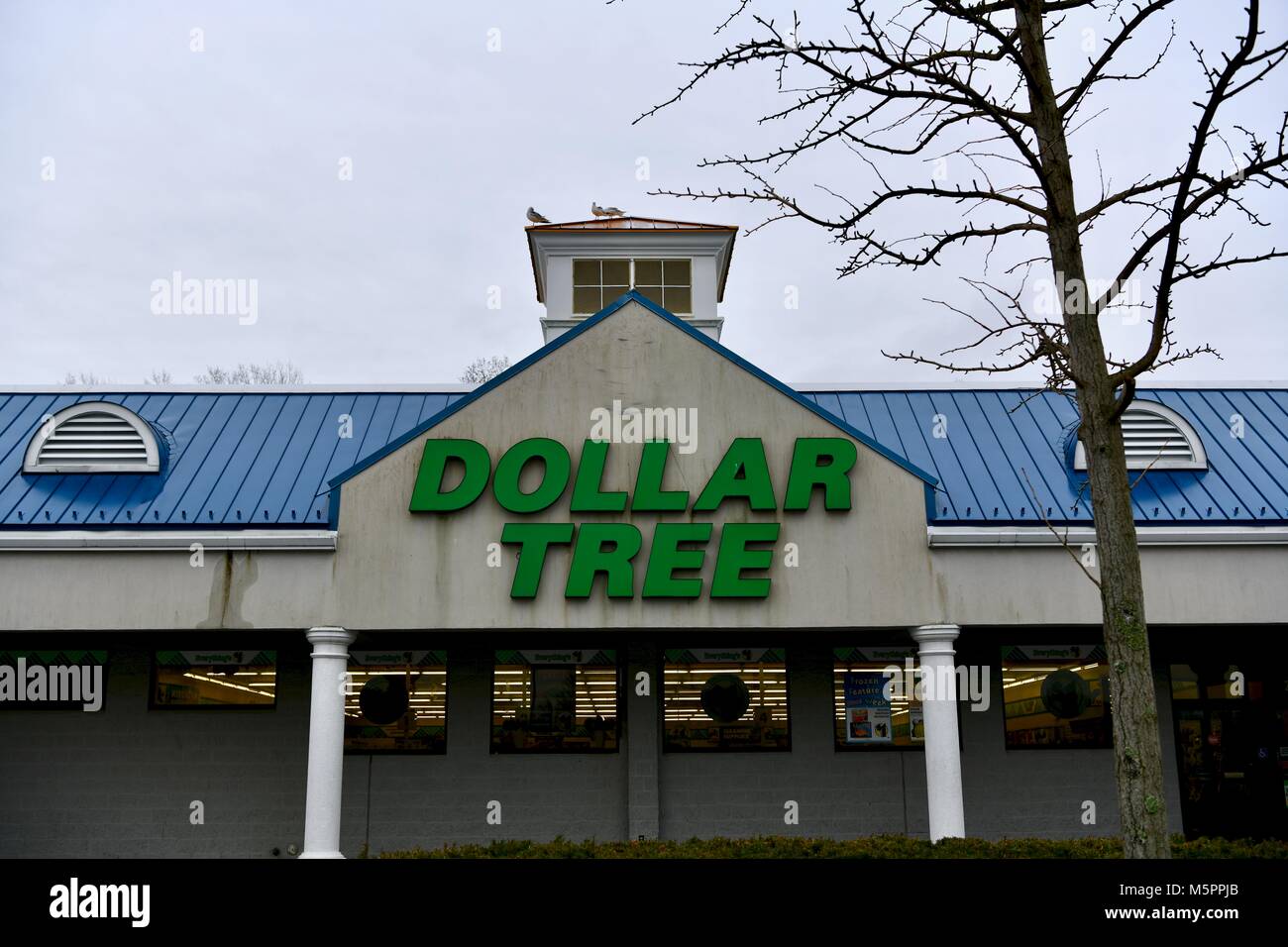 Dollar Tree store Stockfoto