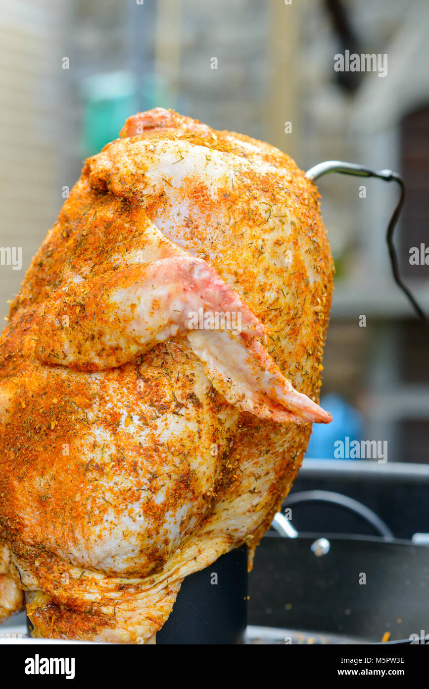 Ein Bier kann Huhn in ein Grill bereit für Grill, mit Paprikapulver einreiben und Temperaturfühler Stockfoto