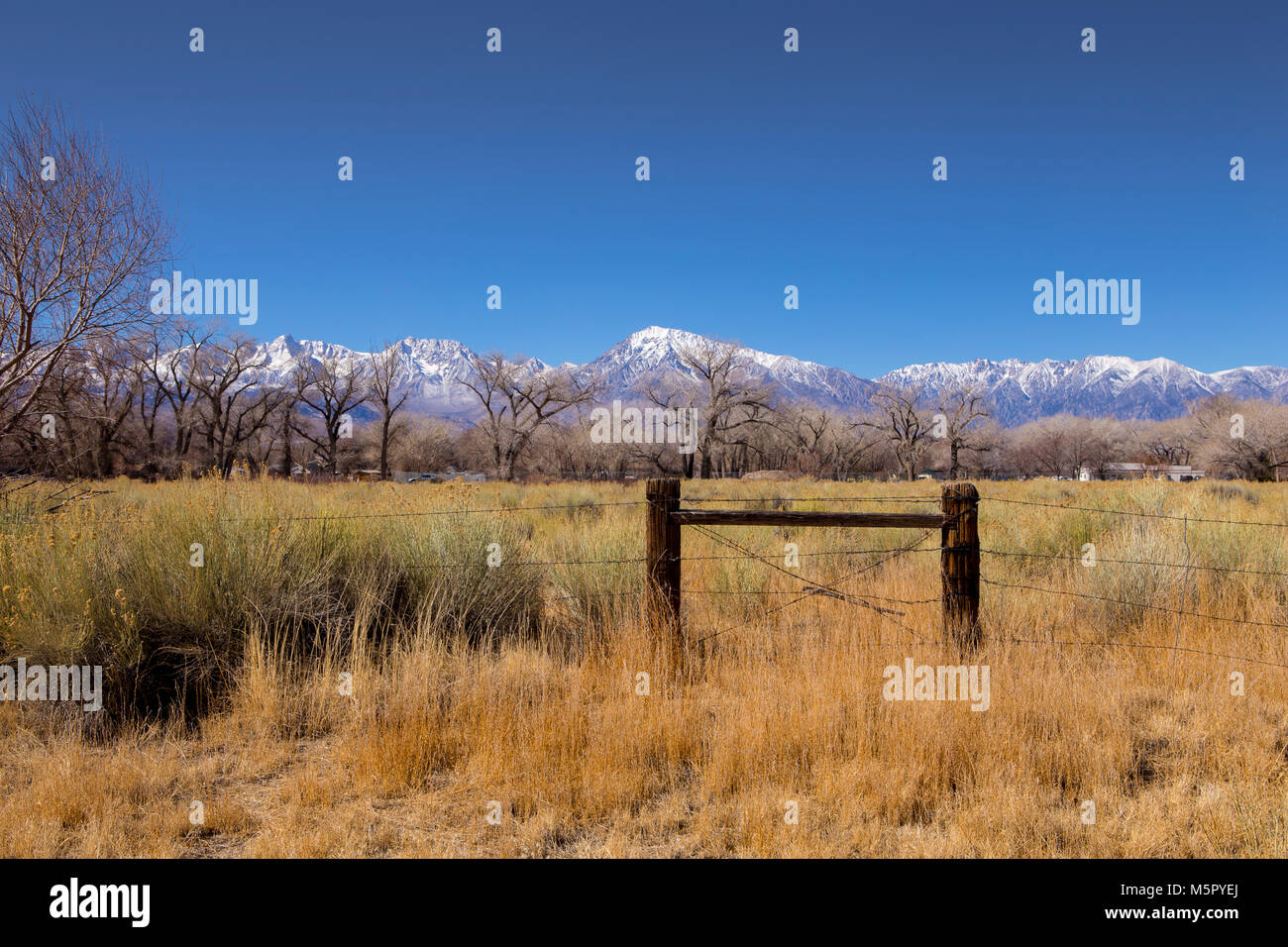 Die schneebedeckten Berggipfel der östlichen Sierra Nevada Mountains, wie von der Stadt Bischof in Kalifornien USA gesehen Stockfoto