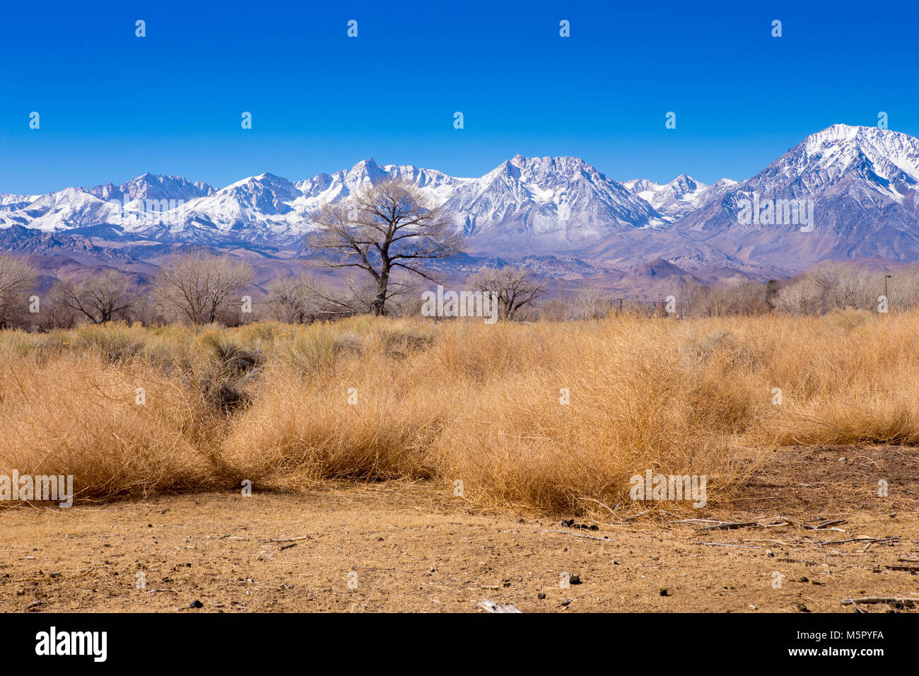 Die schneebedeckten Berggipfel der östlichen Sierra Nevada Mountains, wie von der Stadt Bischof in Kalifornien USA gesehen Stockfoto