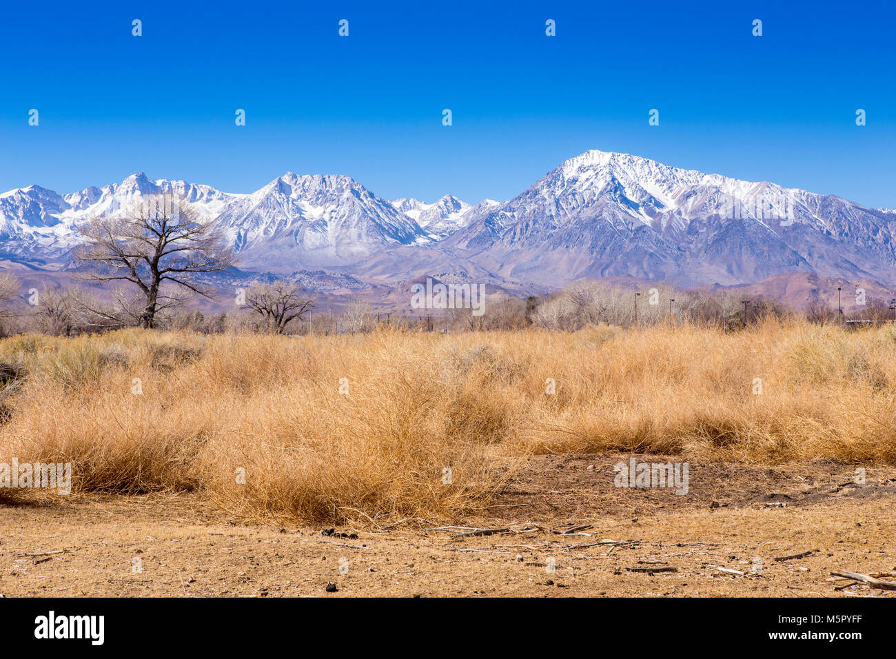 Die schneebedeckten Berggipfel der östlichen Sierra Nevada Mountains, wie von der Stadt Bischof in Kalifornien USA gesehen Stockfoto