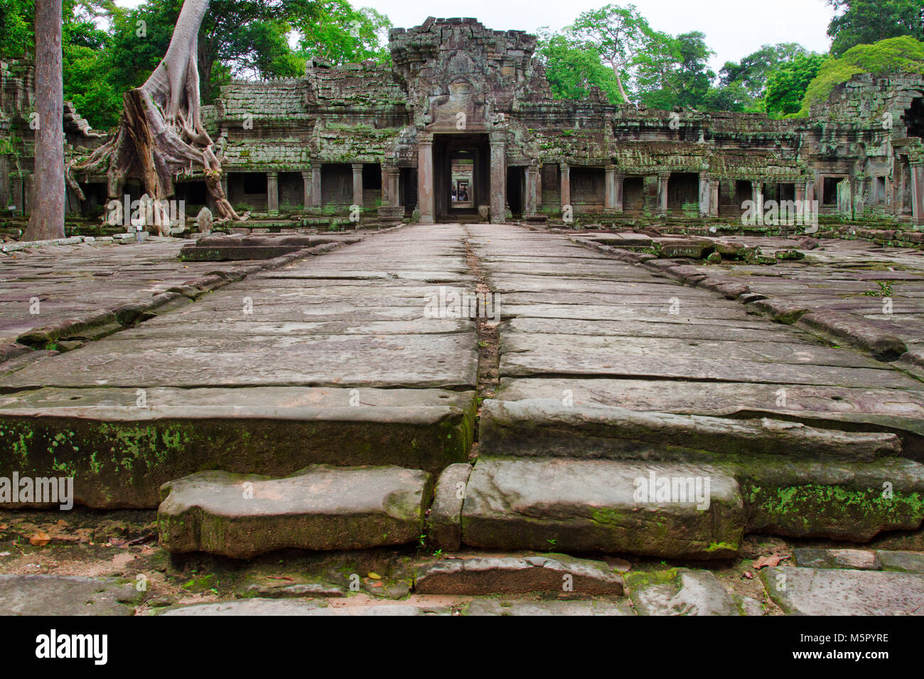 Angkor Wat, eine UN-Weltkulturerbe in Kambodscha. Berühmte im Film Lara Croft: Tomb Raider. Stockfoto