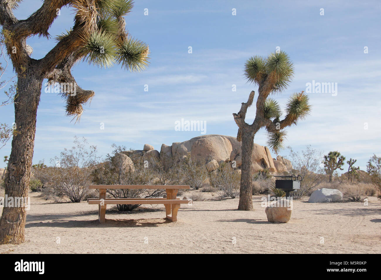 Belle Campground. Aus Pinto Basin Road im nördlichen Ende des Parks, Belle Campground bietet tolle Aussicht nach Westen - und ist ein großartiger Ort, um den Sonnenuntergang zu beobachten. Alle Campingplätze sind zuerst kommt, mahlt zuerst. Stockfoto