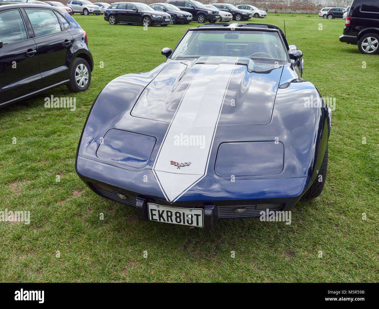 Ein dunkles Blau GMC Chevrolet Corvette Coupé, 1979, 3500 Motor. Stockfoto