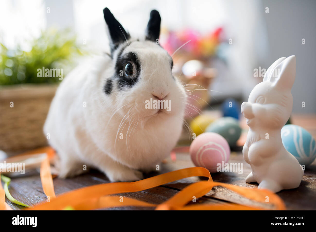 Portrait von kleinen niedlichen Häschen neben Osterhasen Figürchen auf dekorierten Tisch Posing, kopieren Raum Stockfoto