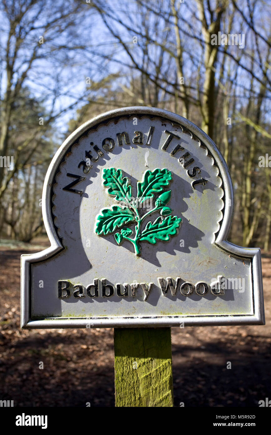 Badbury Holz unterzeichnen. National Trust Waldgebiet in der nähe von Rhu Oxfordshire Stockfoto