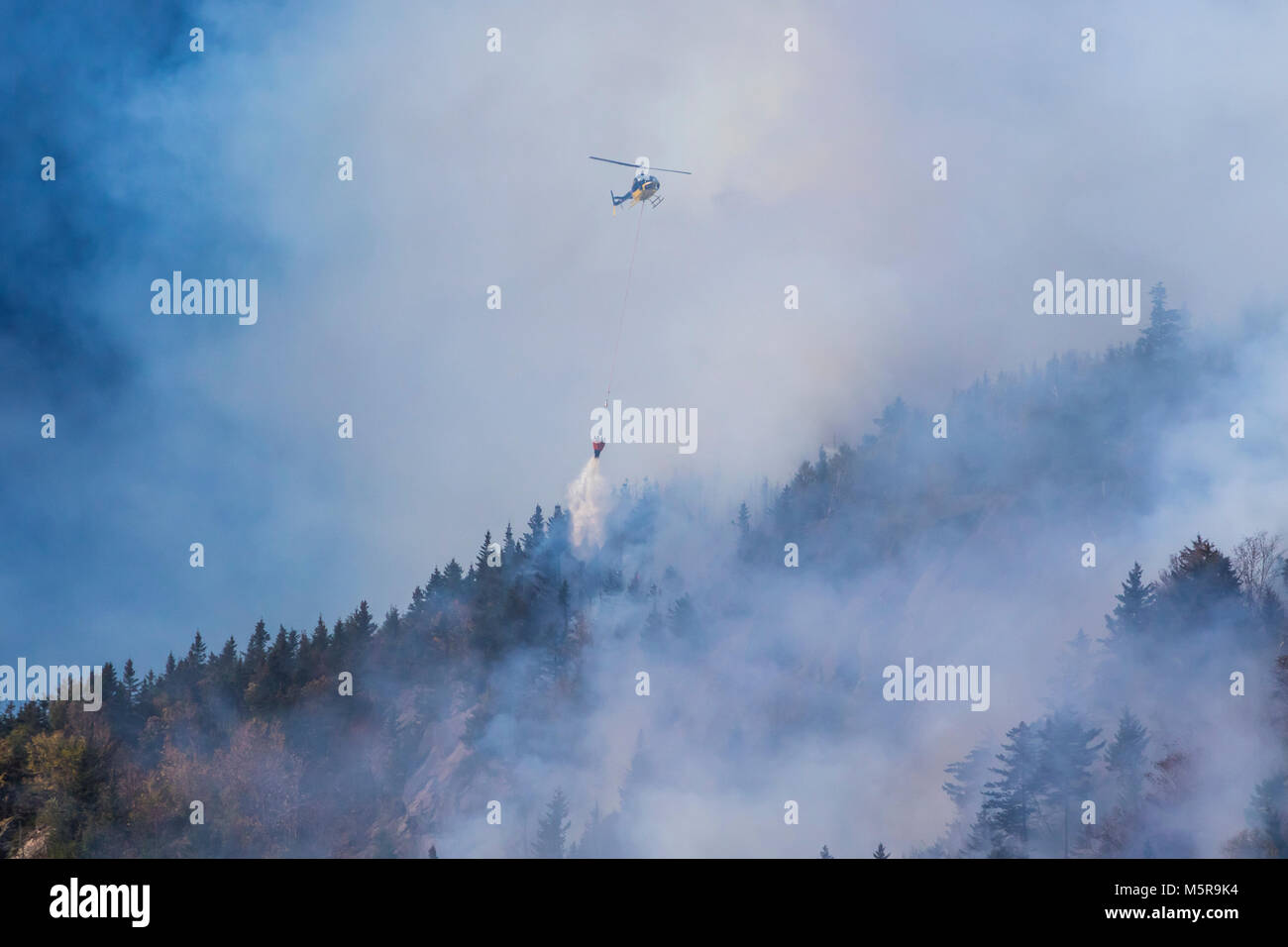 Löser Kerbe Waldbrand, North Woodstock, New Hampshire Stockfoto