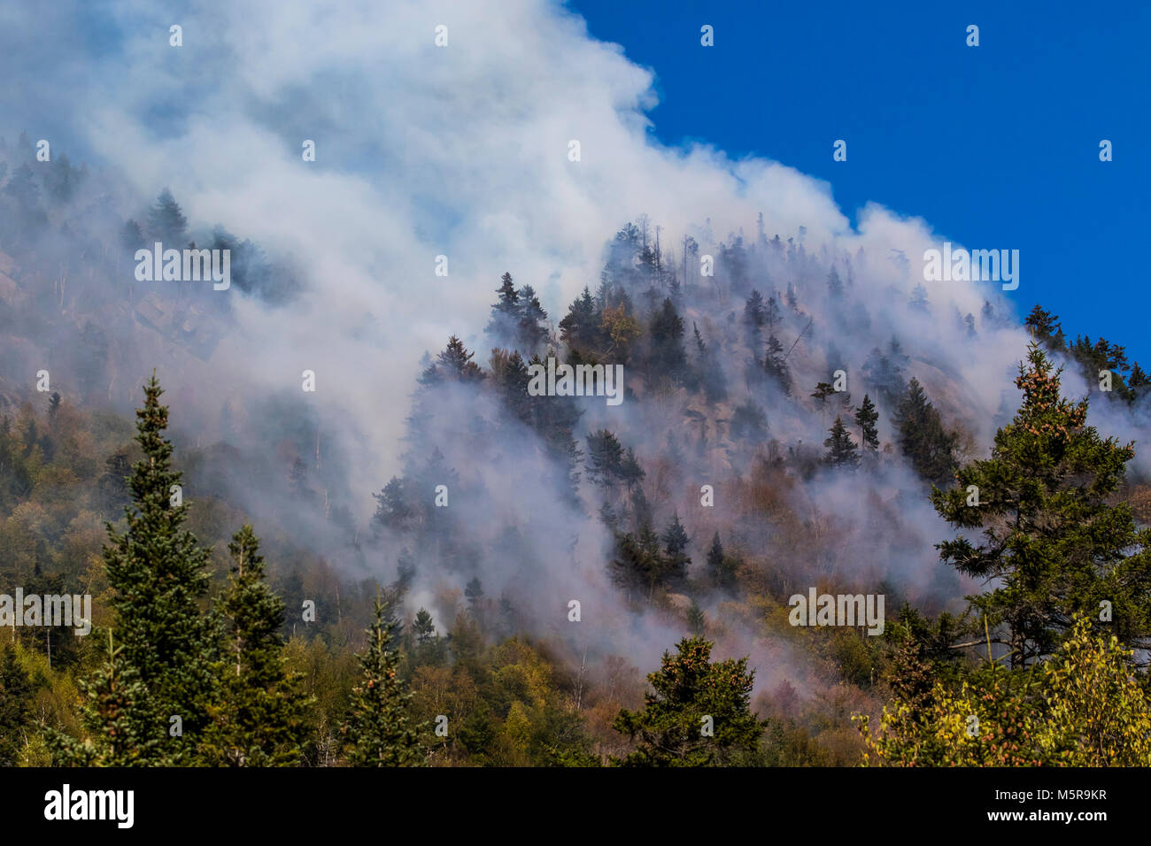 Löser Kerbe Waldbrand, North Woodstock, New Hampshire Stockfoto