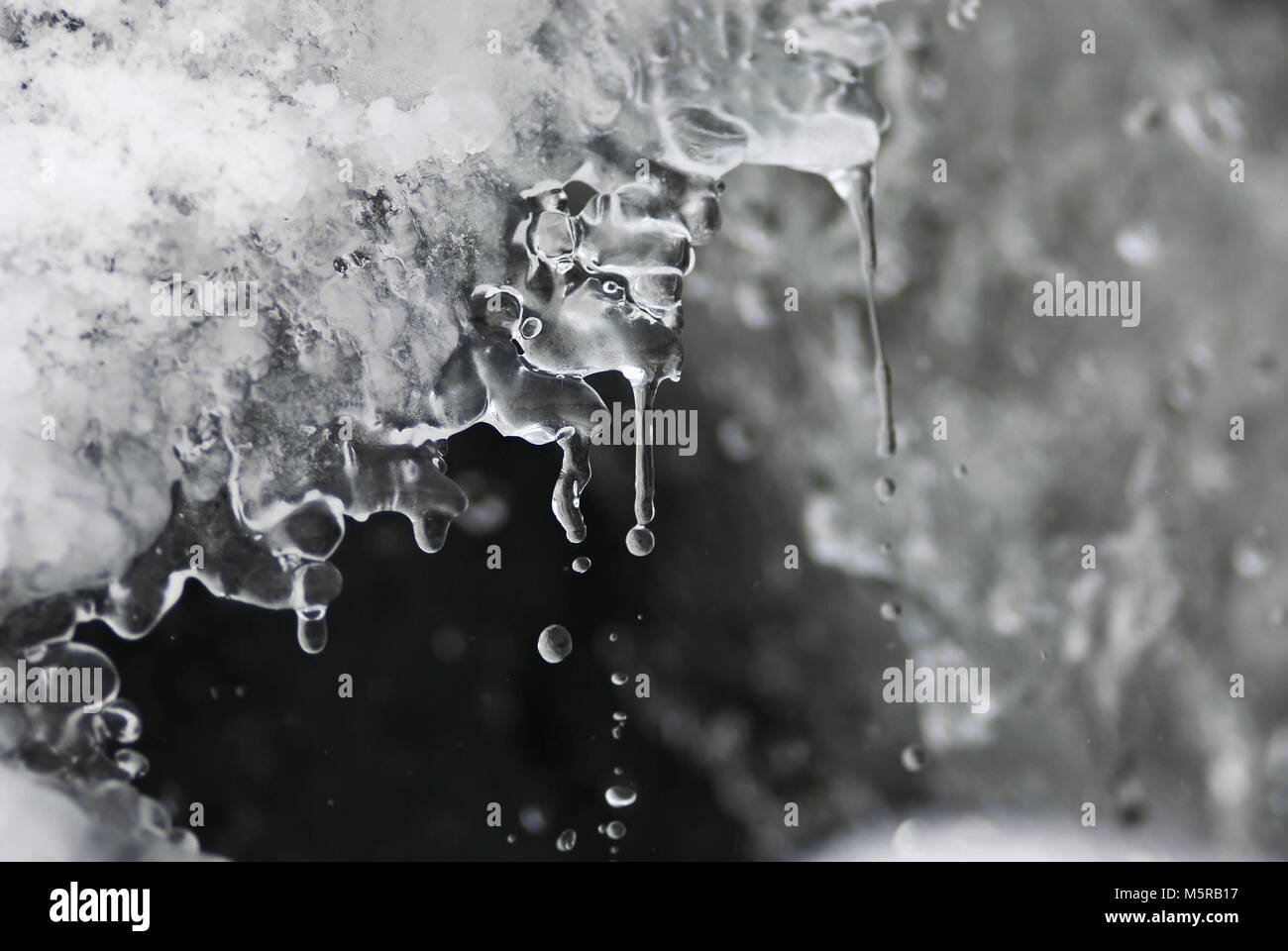Feder Tropfen fallen aus der Schmelze Eis im Fluss Stockfoto
