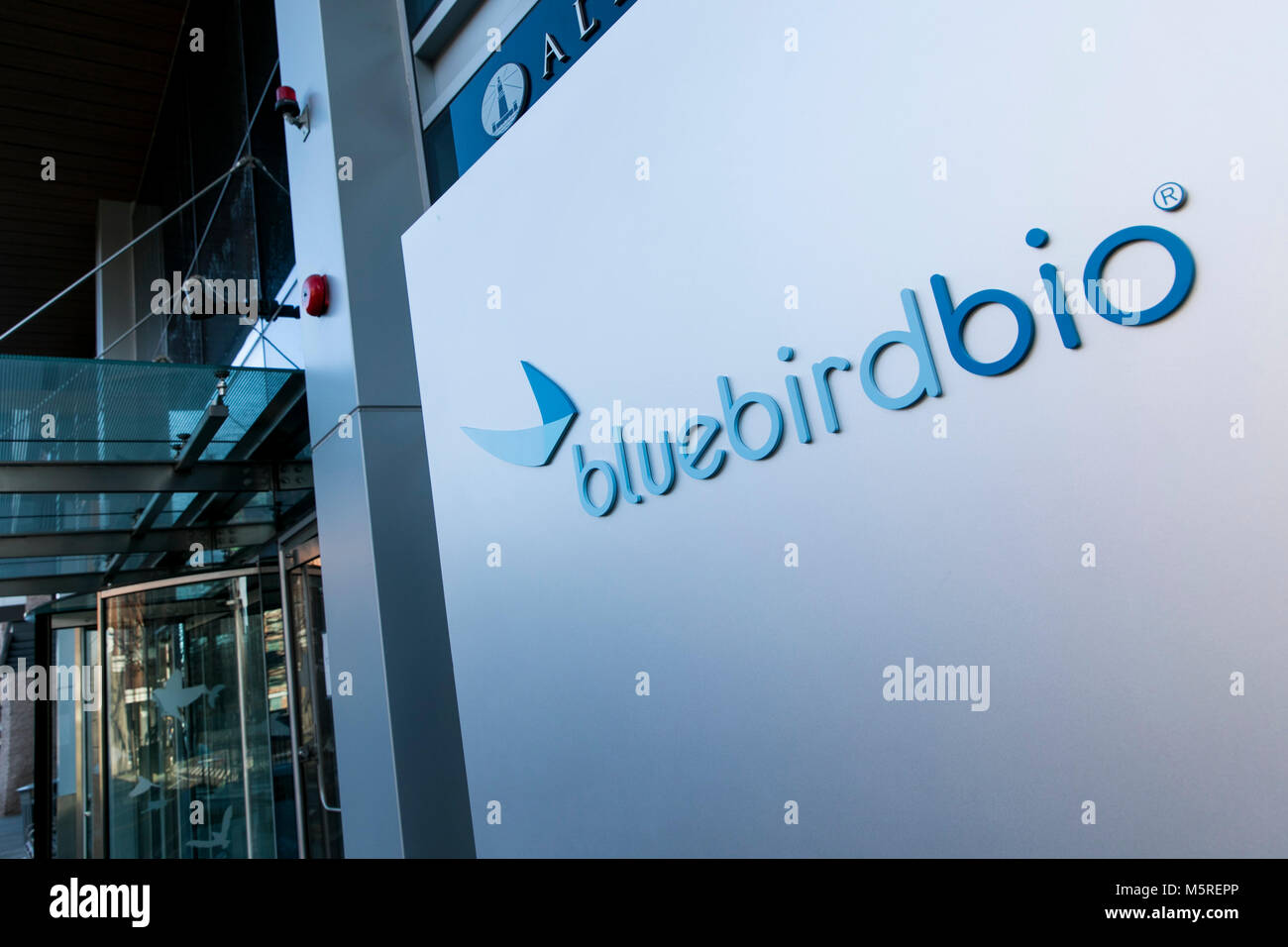 Ein logo Zeichen außerhalb des Hauptsitzes der Bluebird Bio in Cambridge, Massachusetts am 21. Februar 2018. Stockfoto