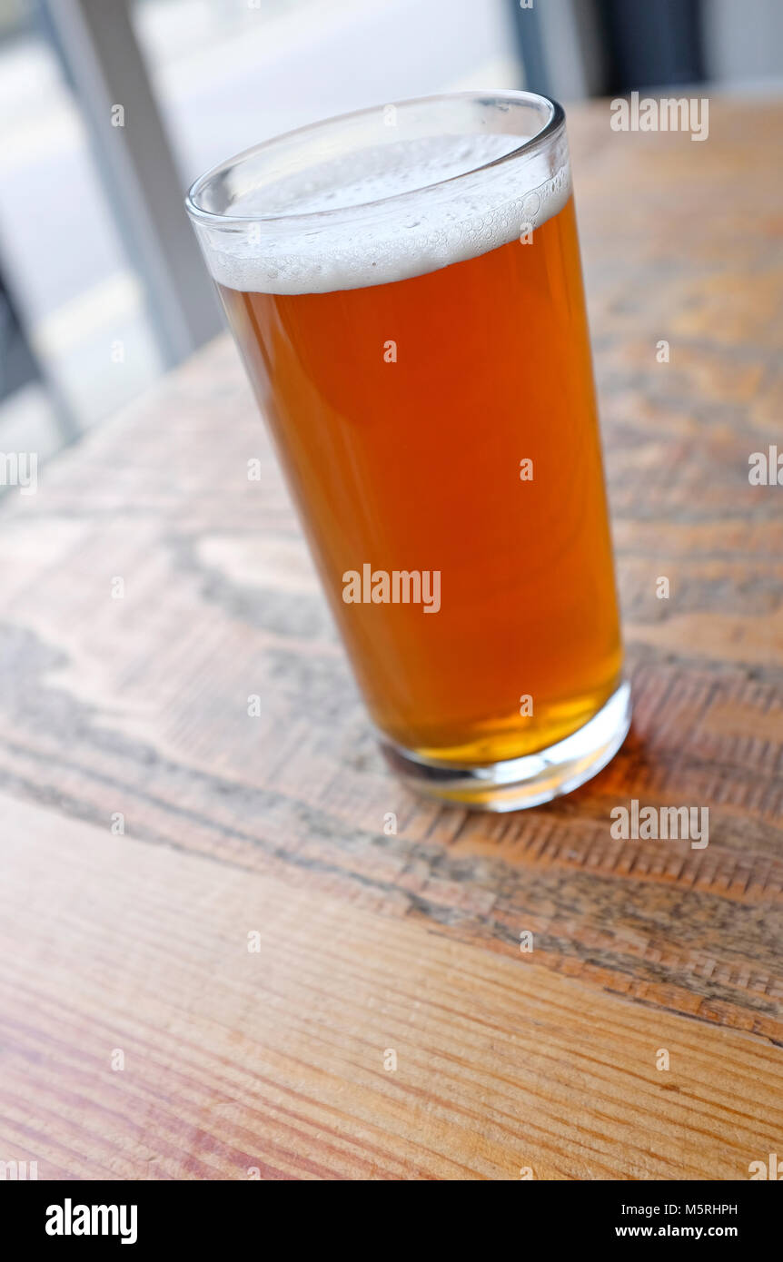 0,33 Glas Real Ale Bier, Norwich, Norfolk, England Stockfoto