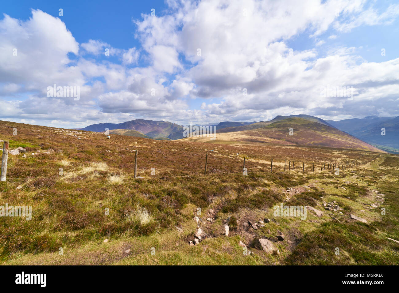 Die Aussicht auf die Gipfel der Starling Dodd auf dem Weg zum Gipfel des Großen getragen im englischen Lake District, England. Stockfoto