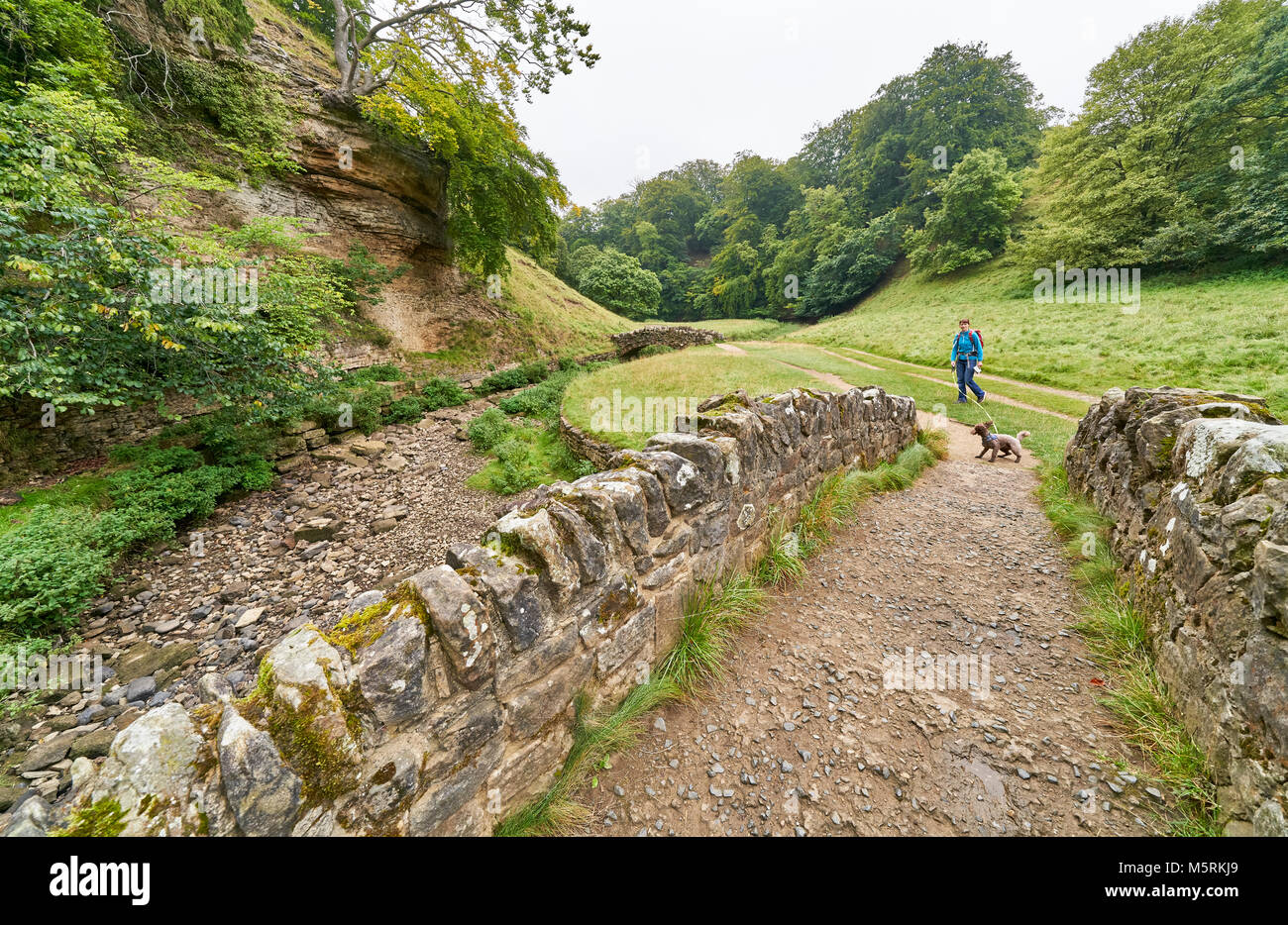 Ein Wanderer zu Fuß in der englischen Landschaft an einem bewölkten Sommertag in Großbritannien. Stockfoto