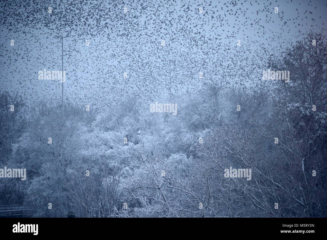 Februar 26, 2018 - Rom, Italien - Rom unter dem Schnee. Credit: Evandro Inetti/ZUMA Draht/Alamy leben Nachrichten Stockfoto