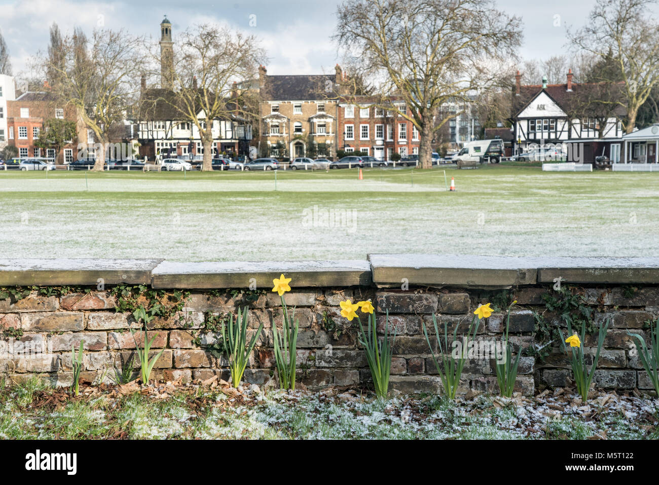 London, Großbritannien. 26 Feb, 2018. Eine Ansicht der Narzissen auf einem Friedhof in Kew Green nach Erhalt einer Schneedecke mit der Ankunft der sogenannten Tier aus dem Osten Kälteeinbruch in London. Foto Datum: Montag, 26 Februar, 2018. Foto: Roger Garfield/Alamy Credit: Roger Garfield/Alamy leben Nachrichten Stockfoto