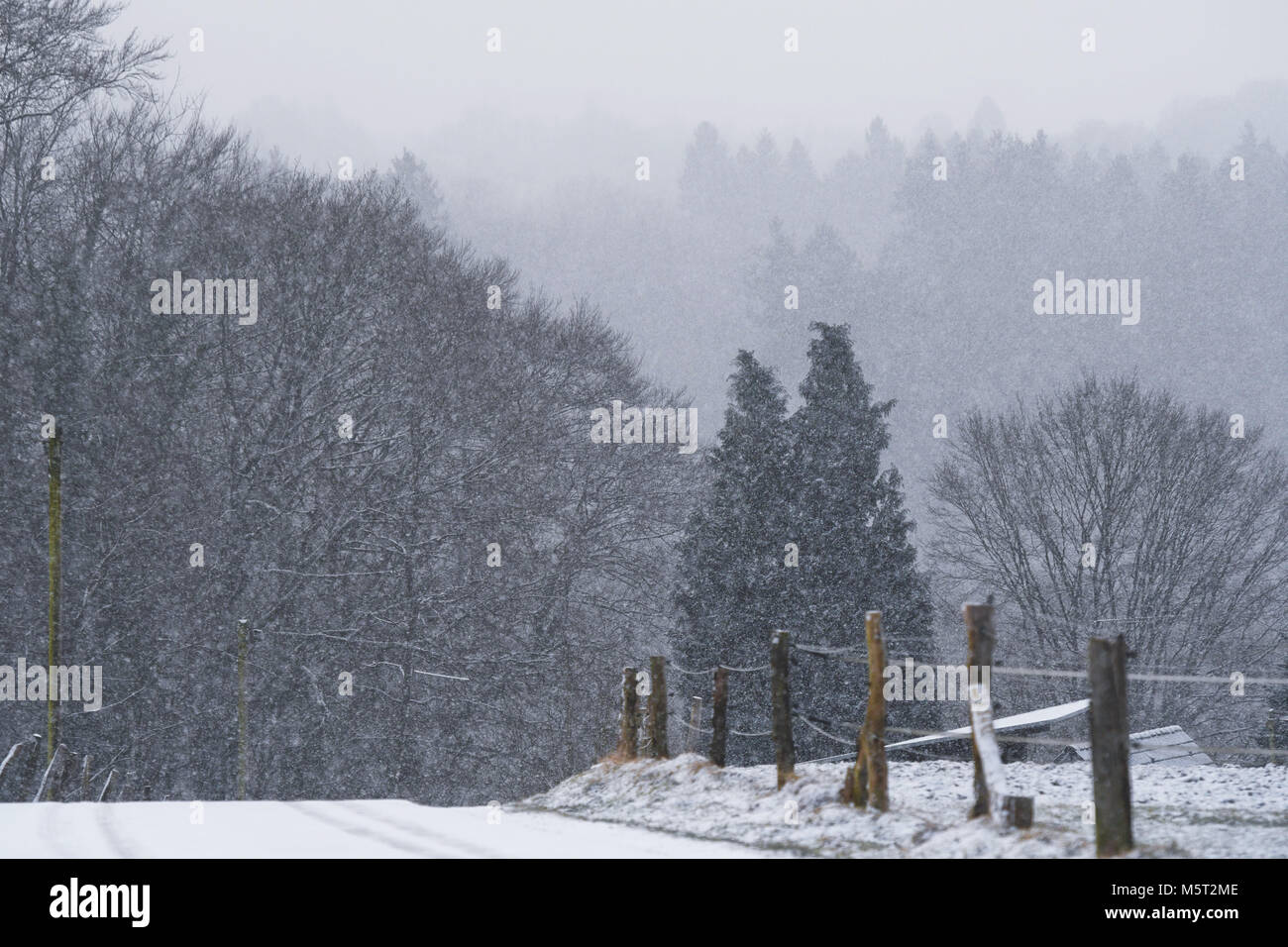 26. Februar 2018, Deutschland, Wermelskirchen: leichte Schneeschauer die Landschaft in Weiß. Foto: Henning Kaiser/dpa Stockfoto