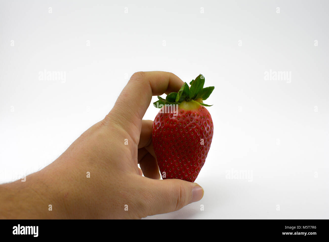 Erdbeeren Foto Studio Stockfoto