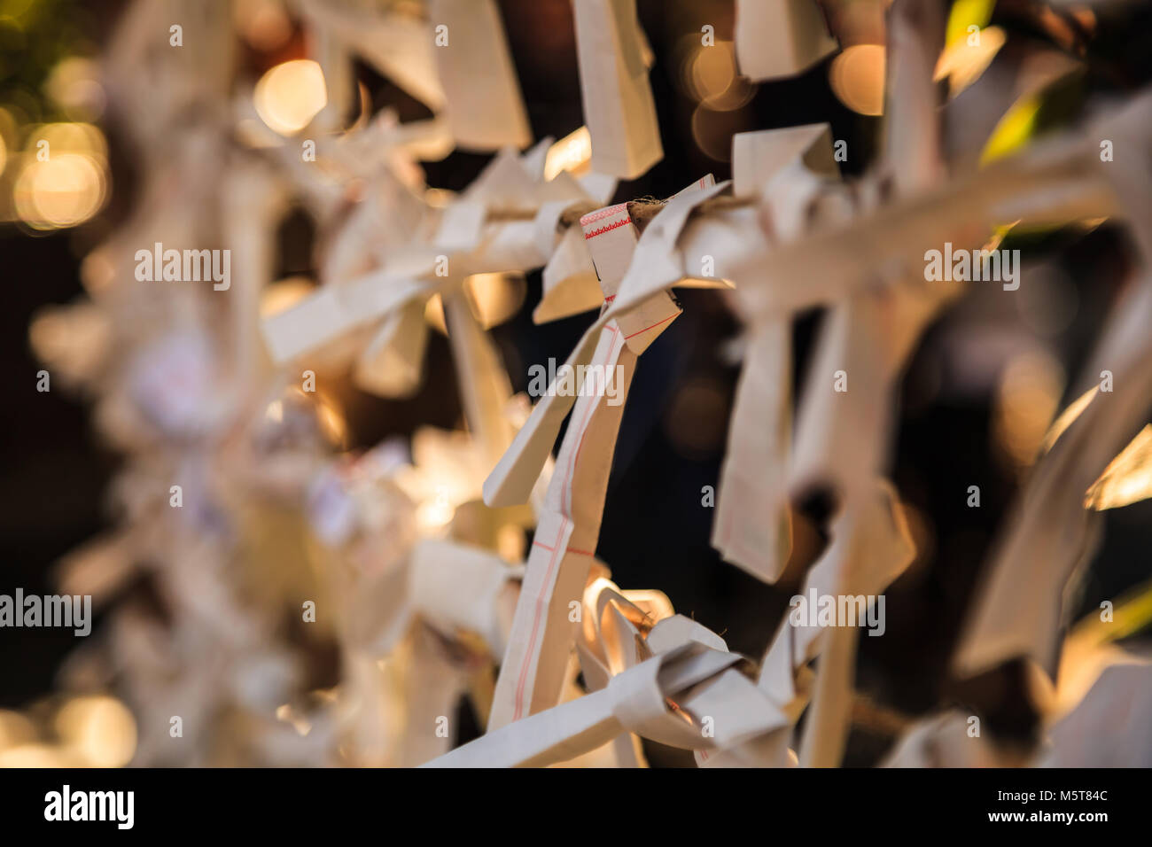 Nahaufnahme Gruppe von Omikuji, Wahrsagen Papierstreifen, auf den Seilen mit unscharfen Hintergrund gebunden. Die Menschen glauben, dass Sie Pech omen om Stockfoto
