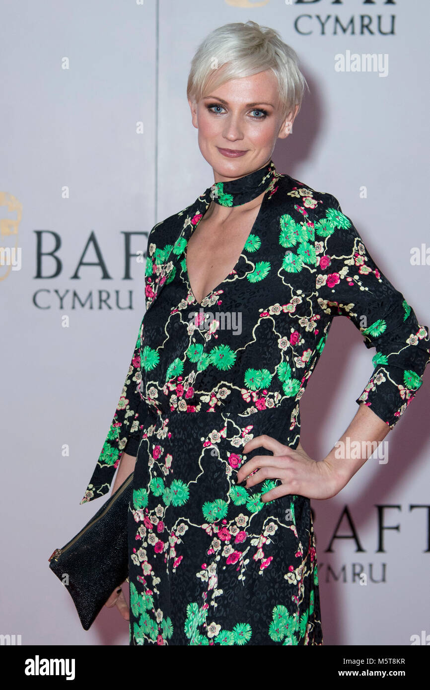 Hannah Daniel posiert für ein Foto bei der 26 Britischen Akademie Cymru Awards auf der St. David's Hall am 8. Oktober 2017 in Cardiff, Wales. Stockfoto