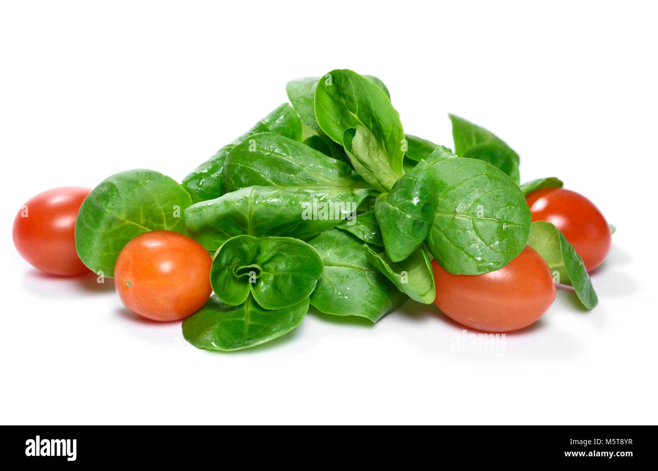 Frischen Gartensalat mit Cocktailtomaten und Feldsalat. Gesunde Ernährung Szene oder Diäten. Grüner Salat, auf weißem Hintergrund mit Kopie Raum isoliert. Stockfoto