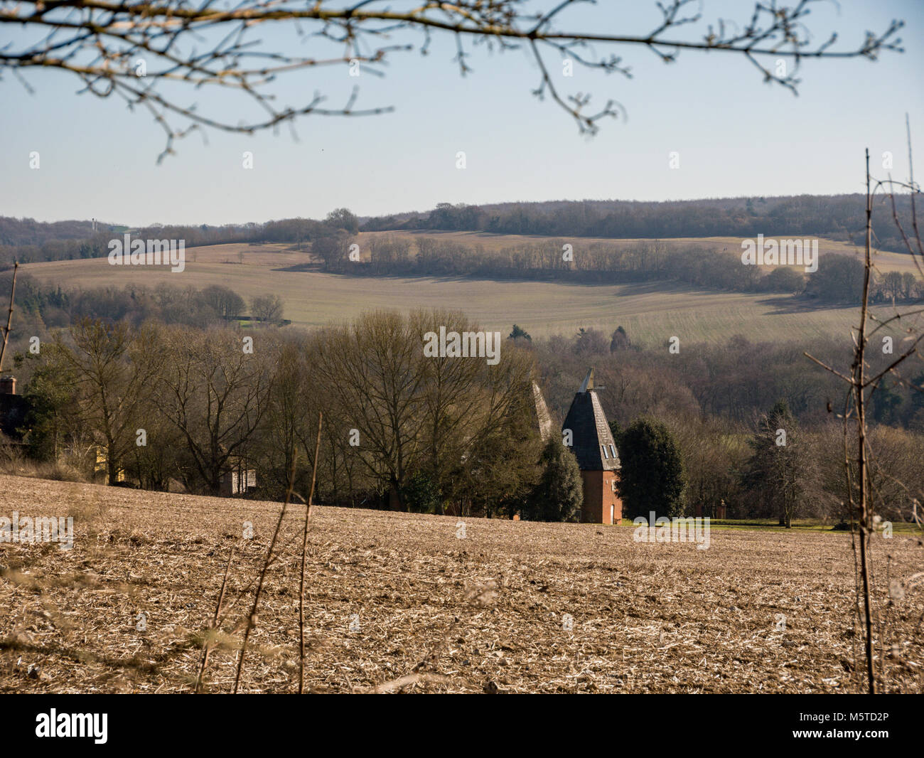 Die weald von Kent, in der Nähe von Chilham, Großbritannien Stockfoto