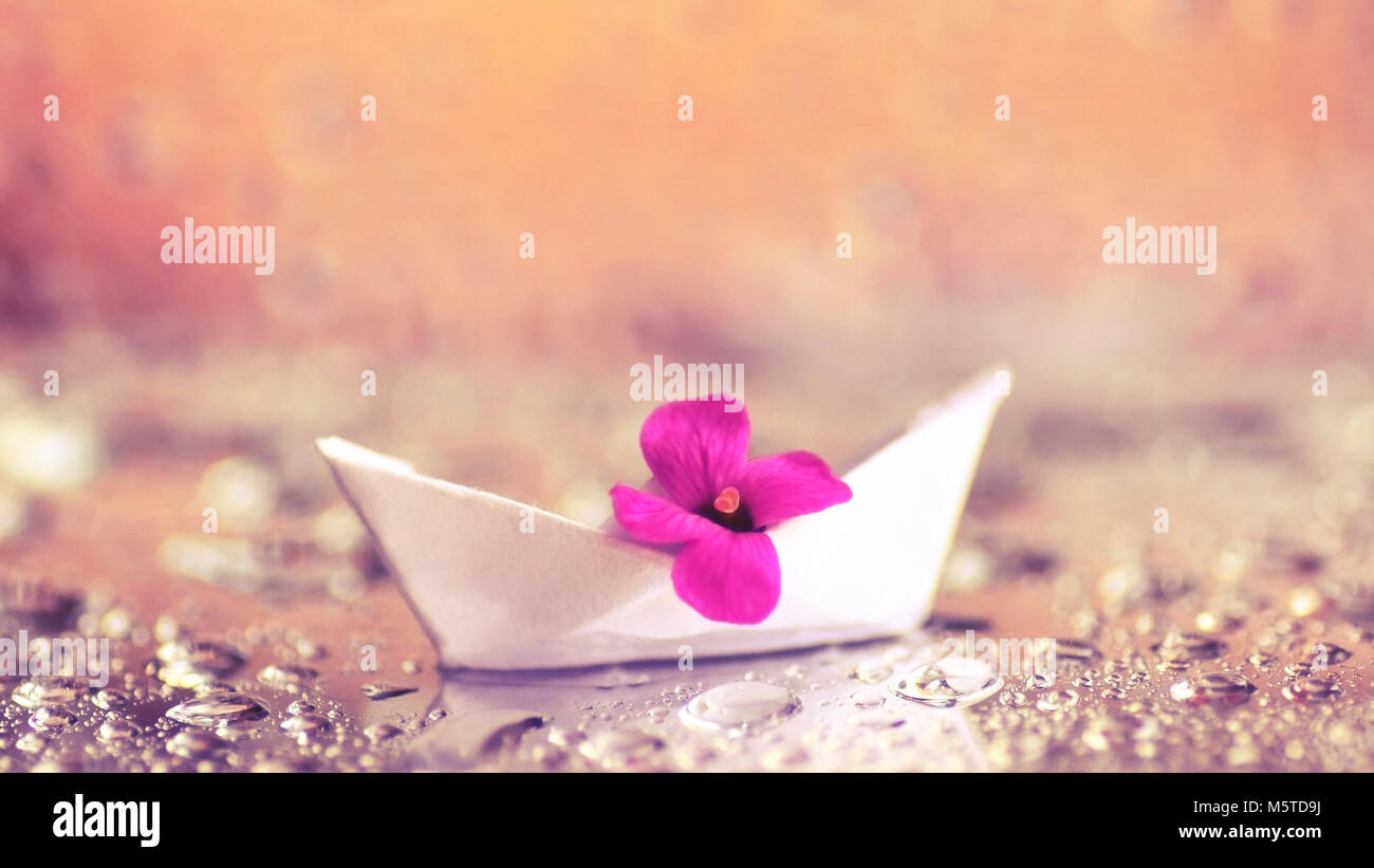 Makro Nahaufnahme der Kleine Lila Blume in einem Origami Papier Boot Stockfoto