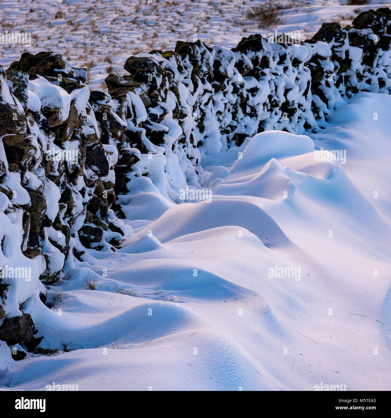 Schneereiche Winter morgen in den Hügeln des Peak District. In der Nähe von Schnee trieb gegen eine trockenmauern Wand. Stockfoto