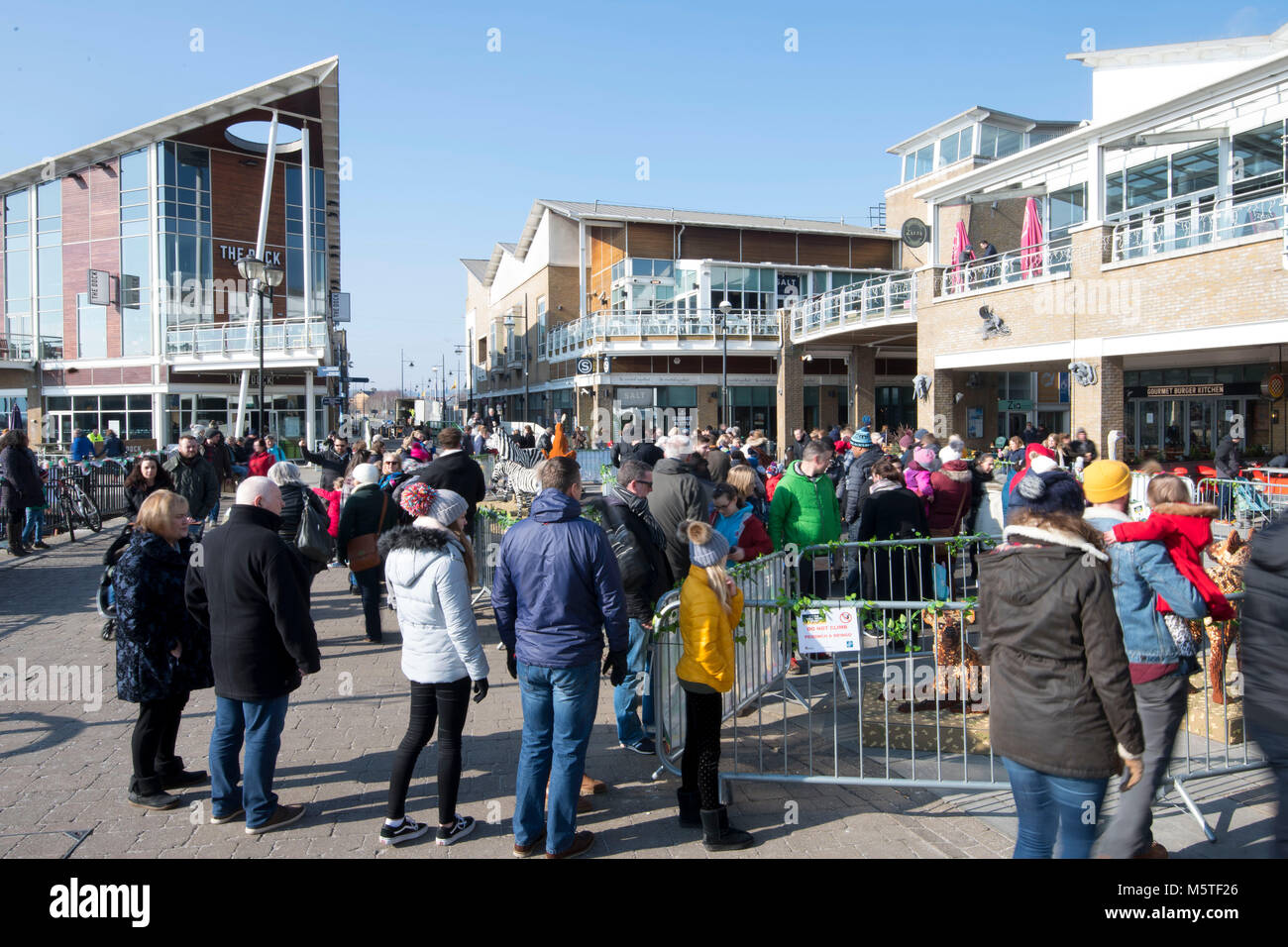 Mermaid Quay in Cardiff Bay, Wales, an einem warmen sonnigen Tag. Stockfoto