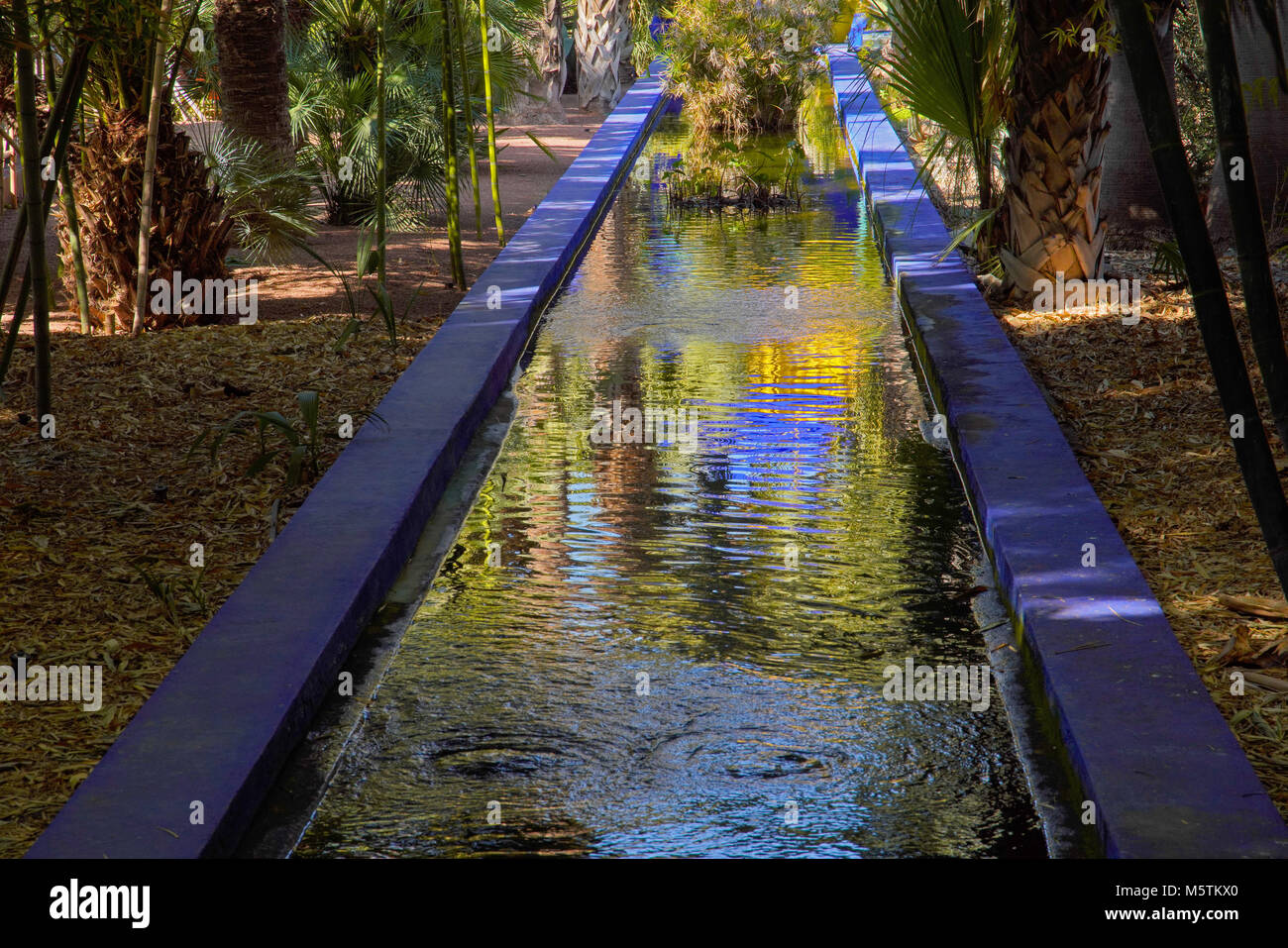 Gärten von Yves Saint-Laurent Stockfoto