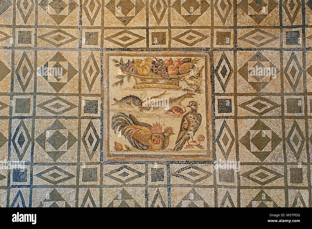 Geometrische römische Bodenmosaik. Aus der Grotte Celoni die via Casilina, Rom. Ende des 1. und des 2. Jahrhunderts n. Chr. ab. Nationalen Roman Museu Stockfoto