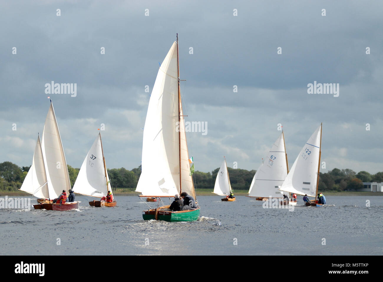 Flotte von Booten racing in Richtung Tarmonbarry während einer segeln Raid auf dem Fluss Shannon, Irland. Französische sailor Patrick Morvan ist Helming das grüne Boot. Stockfoto