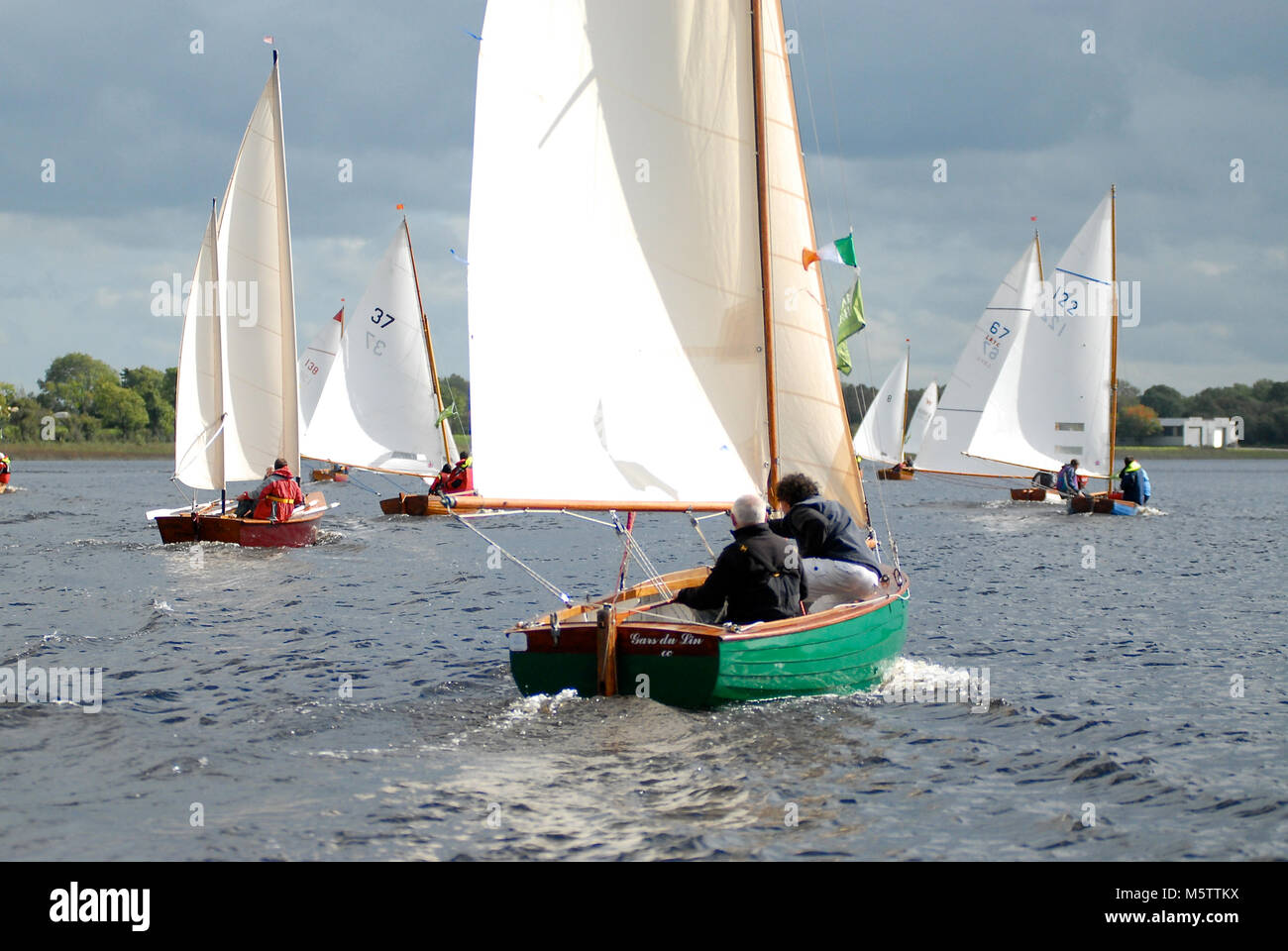 Flotte von Booten racing in Richtung Tarmonbarry während einer segeln Raid auf dem Fluss Shannon, Irland. Französische sailor Patrick Morvan ist Helming das grüne Boot. Stockfoto