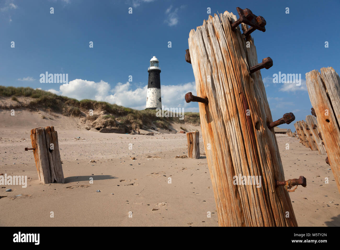 Verschmähen Stockfoto