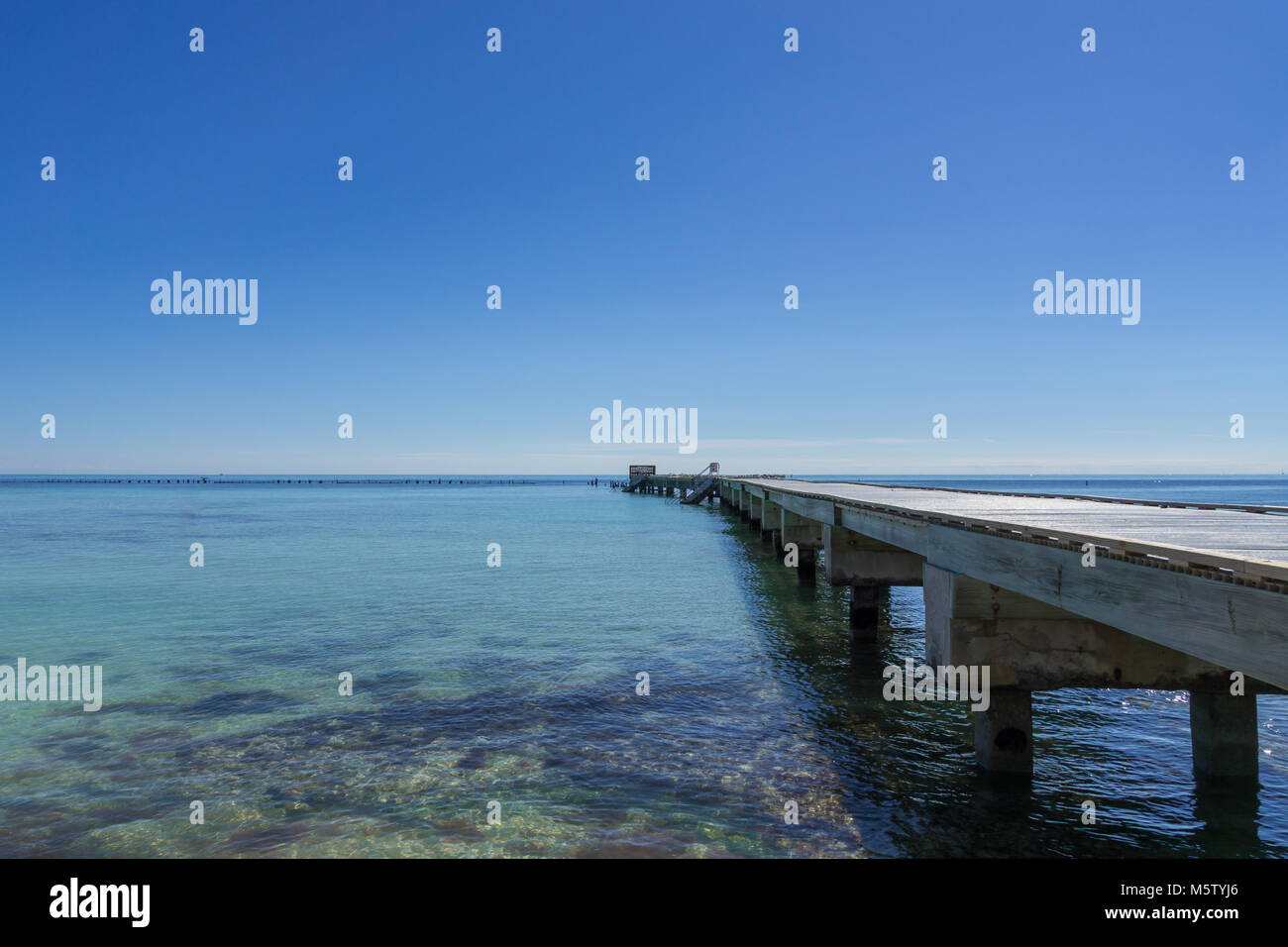 USA, Florida, Alte Bootssteg und viele Pelikane mit perfekter Strand von Key West Stockfoto