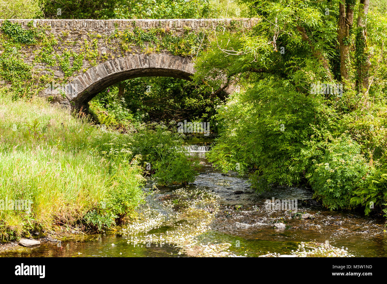 Stein und Backstein Brücke über einen Fluss mit Bäumen, Sträuchern und Flora und Fauna in West Cork, Irland. Stockfoto