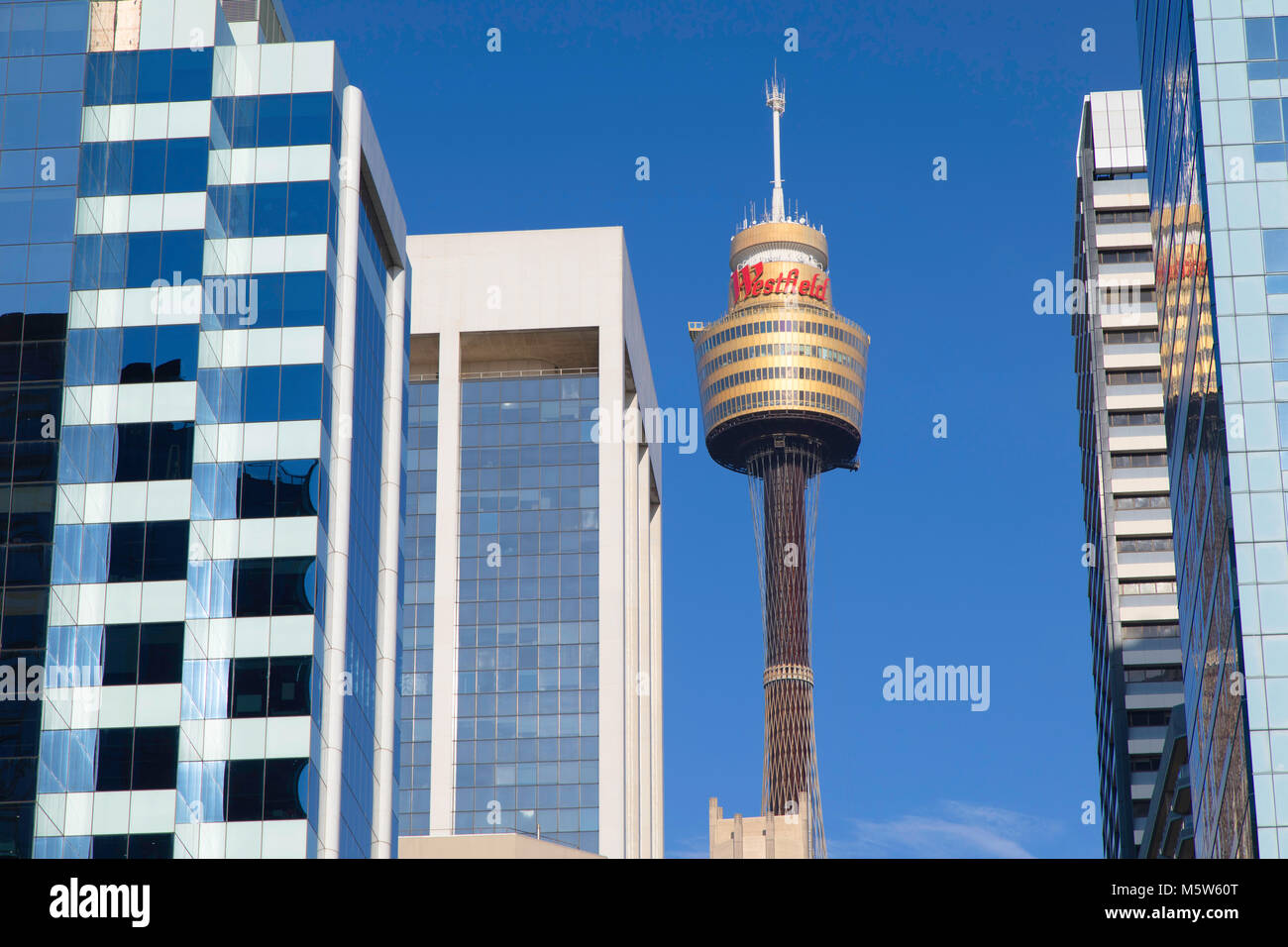 Sydney Tower, Sydney, New South Wales, Australien Stockfoto